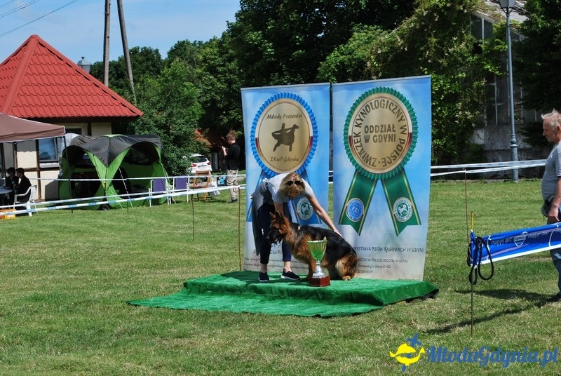 Puchar Bursztynowego Psa 2017