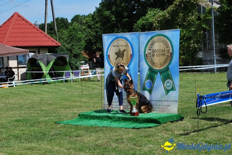 Puchar Bursztynowego Psa 2017