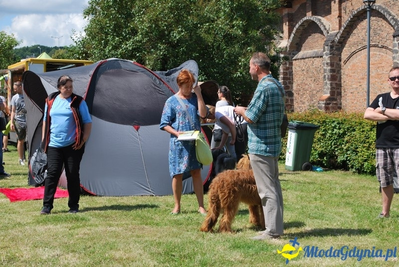 Puchar Bursztynowego Psa 2017