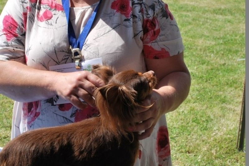 Puchar Bursztynowego Psa 2017