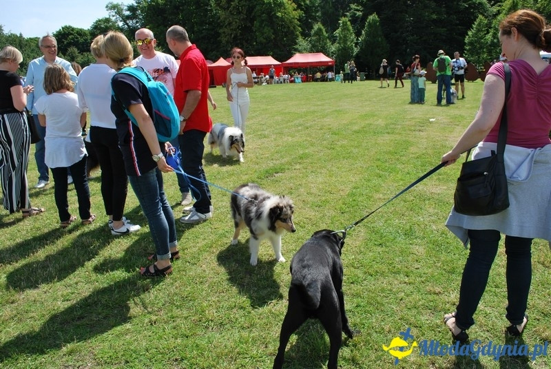 Puchar Bursztynowego Psa 2017