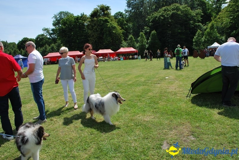 Puchar Bursztynowego Psa 2017