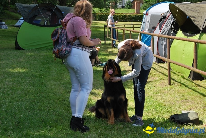 Puchar Bursztynowego Psa 2017