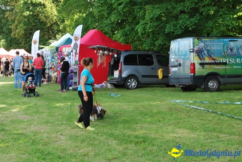 Puchar Bursztynowego Psa 2017