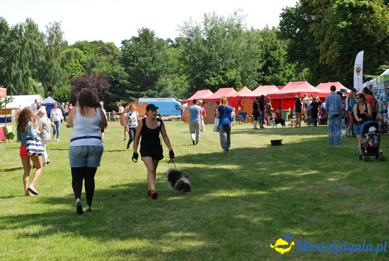 Puchar Bursztynowego Psa 2017