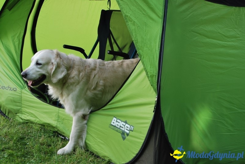 Puchar Bursztynowego Psa 2017