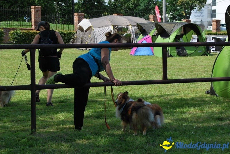 Puchar Bursztynowego Psa 2017