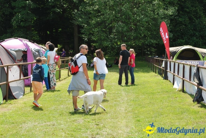 Puchar Bursztynowego Psa 2017