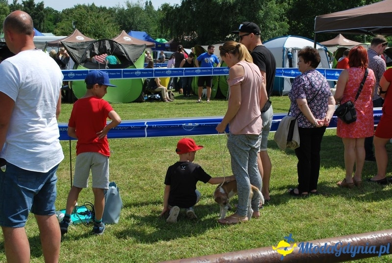 Puchar Bursztynowego Psa 2017