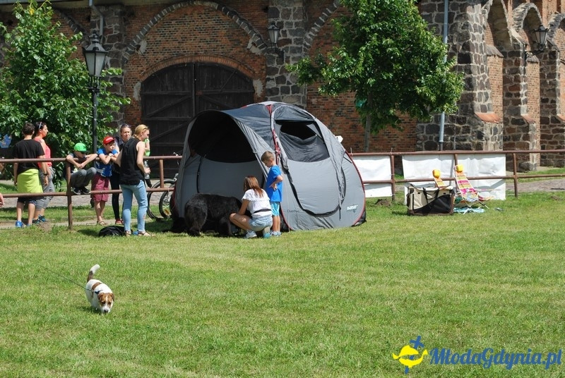 Puchar Bursztynowego Psa 2017