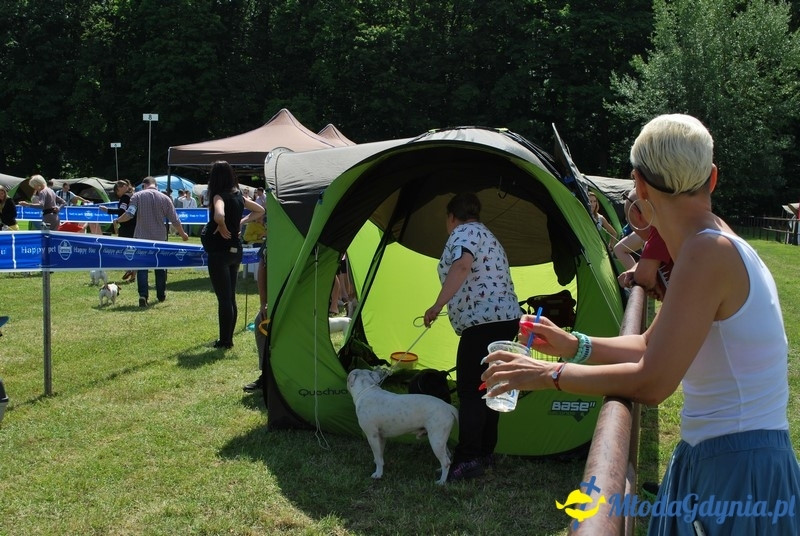 Puchar Bursztynowego Psa 2017