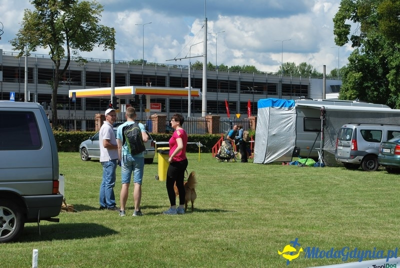 Puchar Bursztynowego Psa 2017