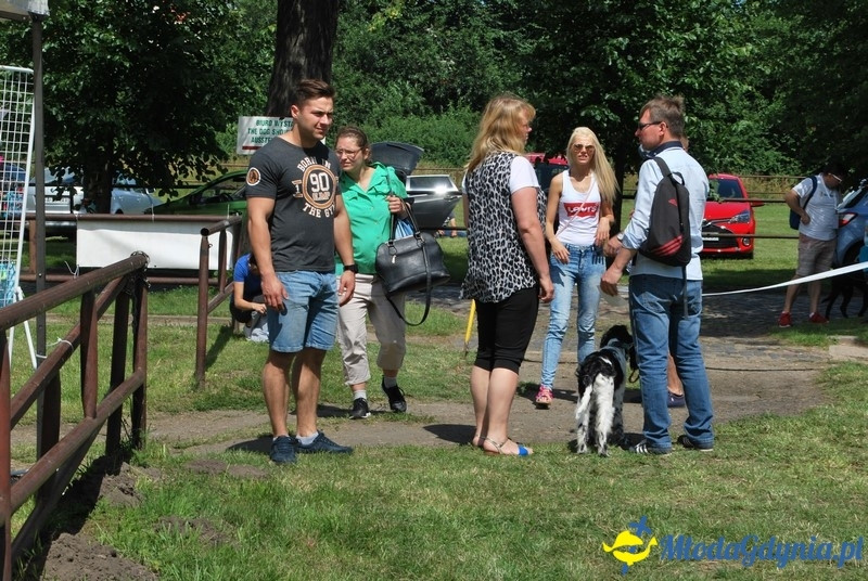 Puchar Bursztynowego Psa 2017