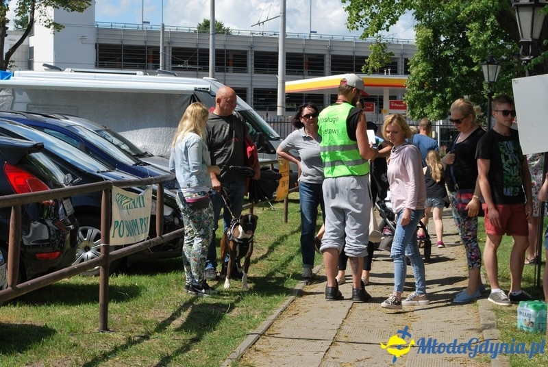 Puchar Bursztynowego Psa 2017