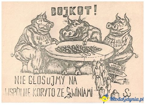 Poseł Małgorzata Zwiercan - czerwiec 2017