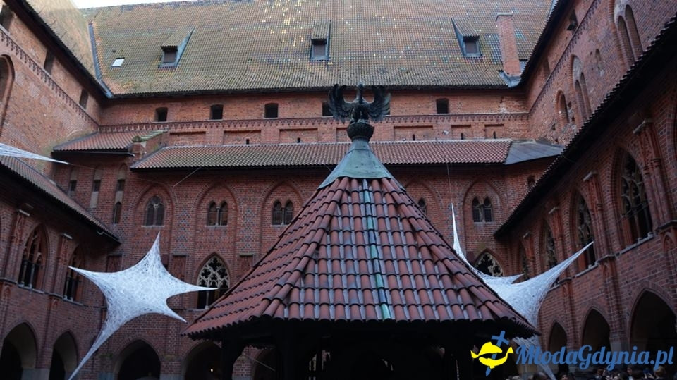 Poseł Małgorzata Zwiercan - czerwiec 2017