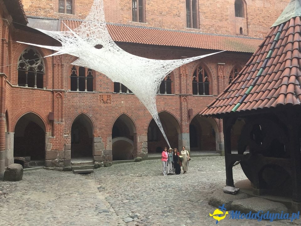 Poseł Małgorzata Zwiercan - czerwiec 2017