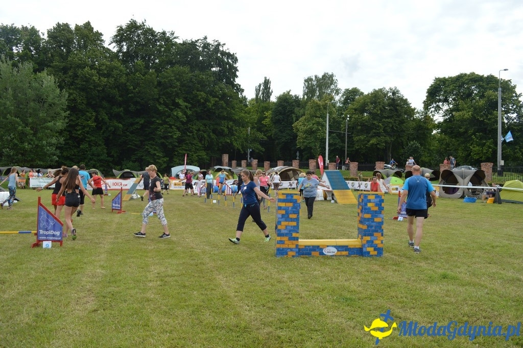 Puchar Bursztynowego Psa 2017 ( dzień drugi )