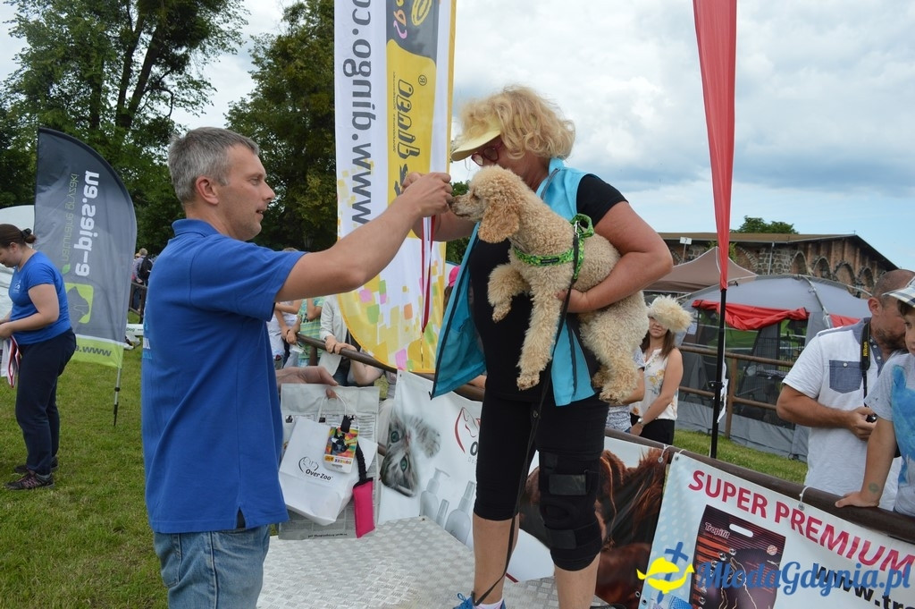 Puchar Bursztynowego Psa 2017 ( dzień drugi )