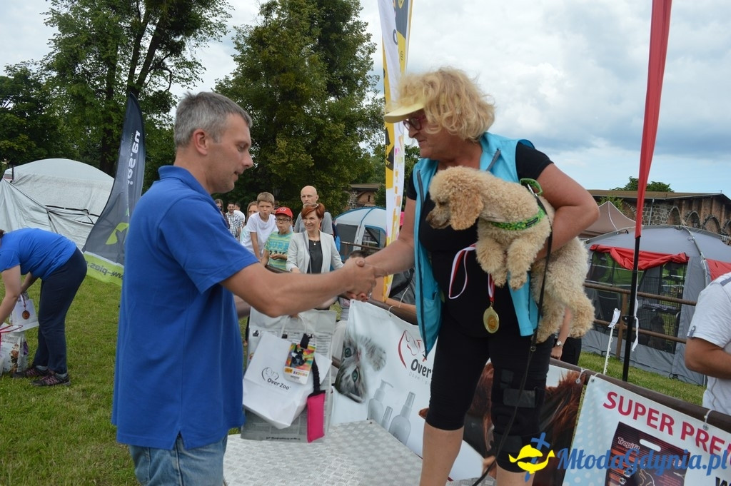 Puchar Bursztynowego Psa 2017 ( dzień drugi )