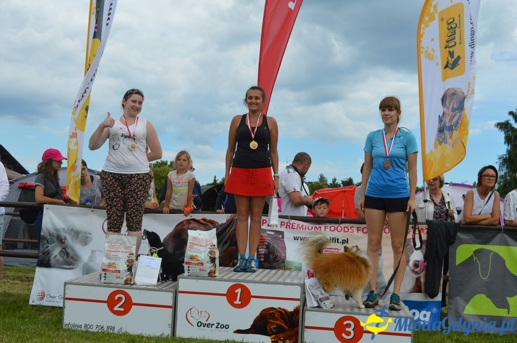 Puchar Bursztynowego Psa 2017 ( dzień drugi )