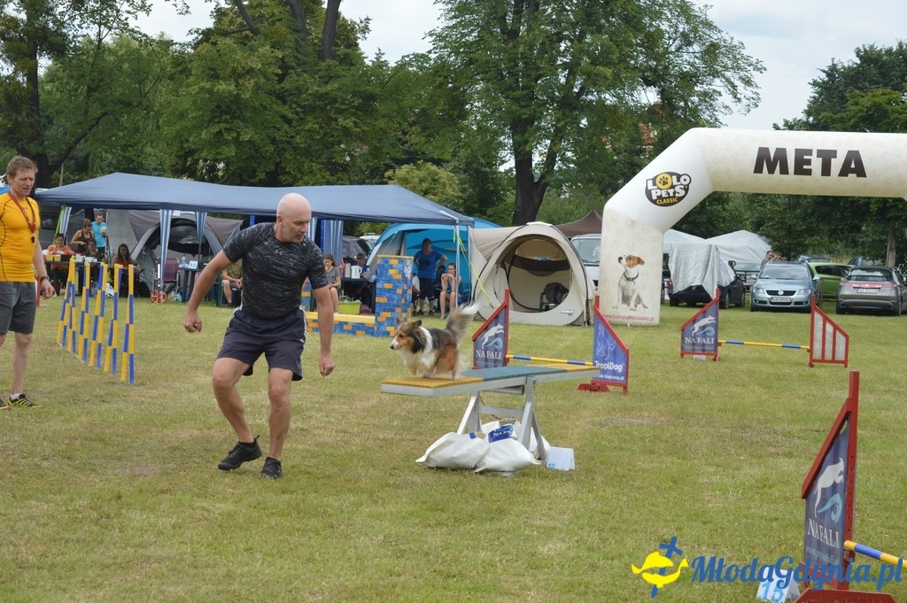 Puchar Bursztynowego Psa 2017 ( dzień drugi )