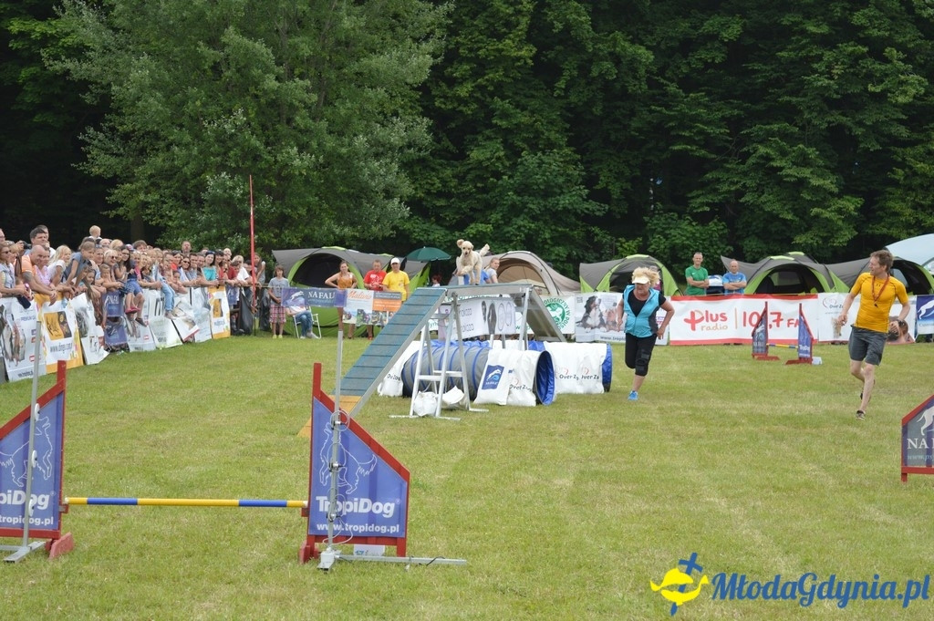 Puchar Bursztynowego Psa 2017 ( dzień drugi )