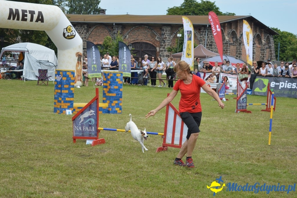 Puchar Bursztynowego Psa 2017 ( dzień drugi )