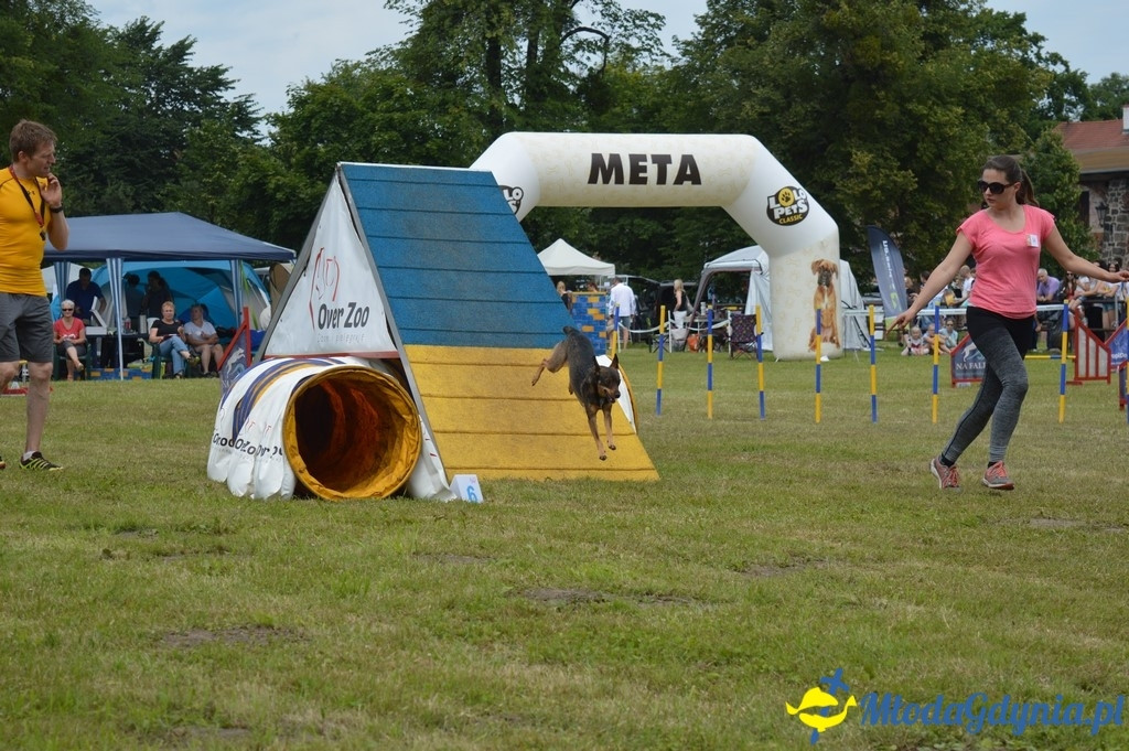 Puchar Bursztynowego Psa 2017 ( dzień drugi )