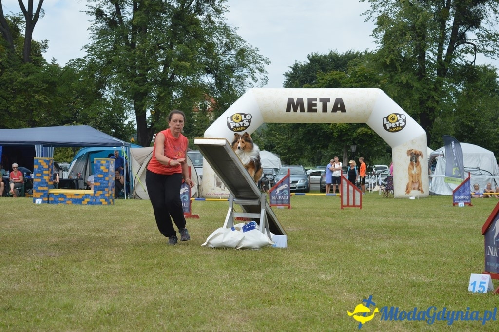 Puchar Bursztynowego Psa 2017 ( dzień drugi )