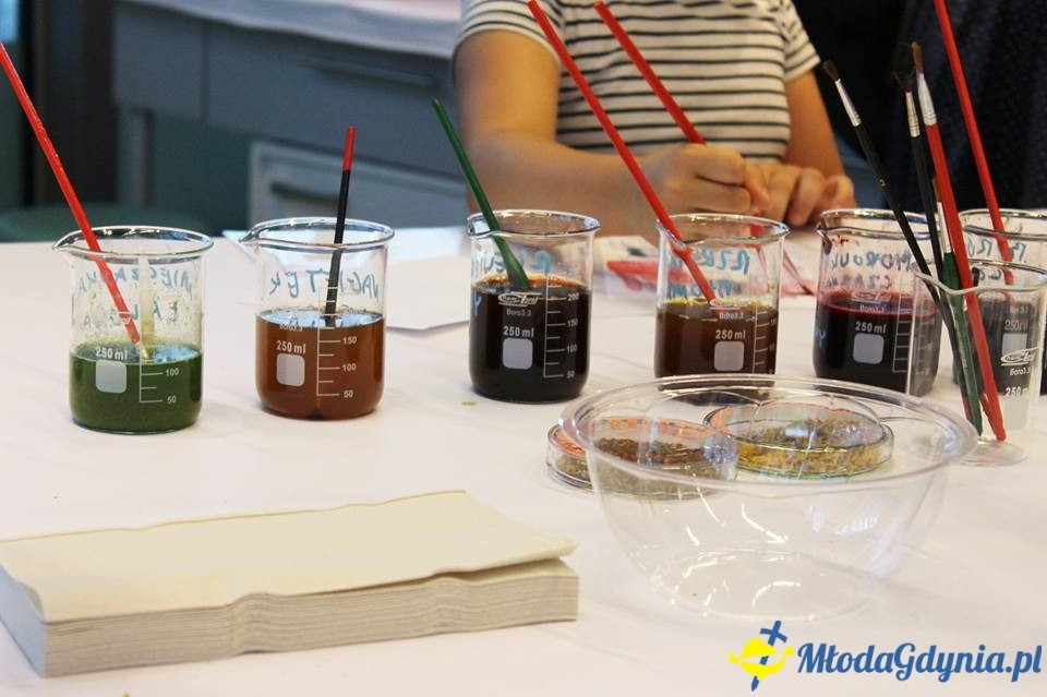 Weekend botaniczny w EXPERYMENCIE 22.07.2017