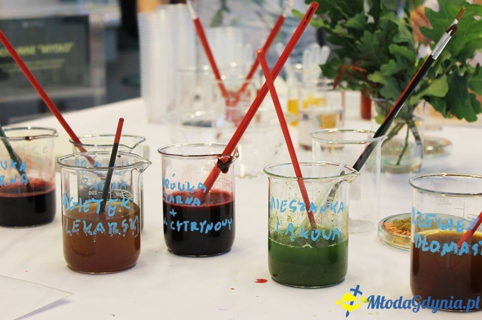 Weekend botaniczny w EXPERYMENCIE 22.07.2017