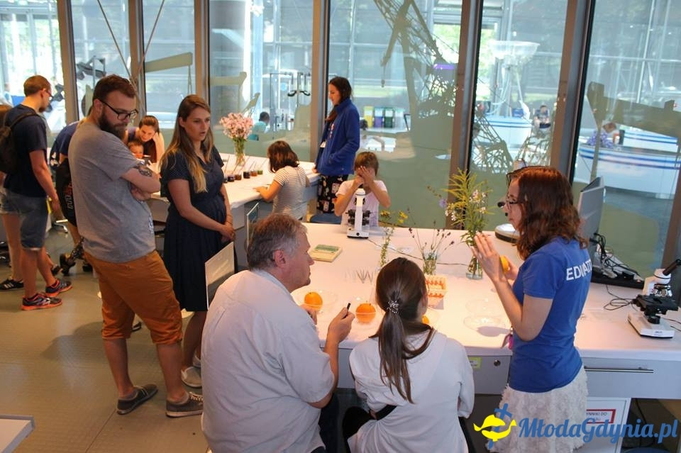 Weekend botaniczny w EXPERYMENCIE 22.07.2017