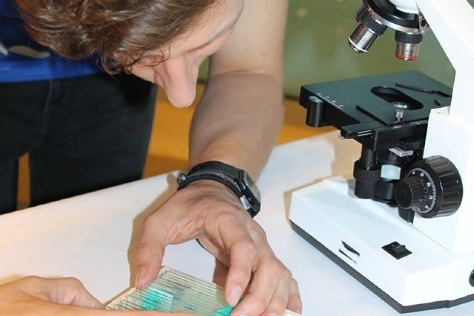 Weekend botaniczny w EXPERYMENCIE 22.07.2017