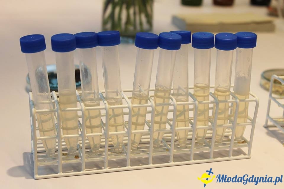 Weekend botaniczny w EXPERYMENCIE 22.07.2017