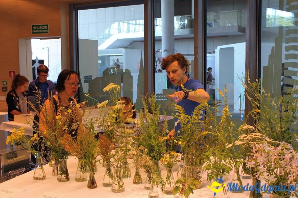 Weekend botaniczny w EXPERYMENCIE 22.07.2017
