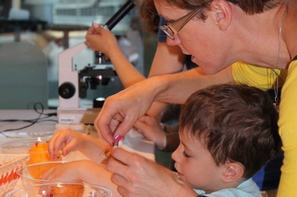 Weekend botaniczny w EXPERYMENCIE 22.07.2017