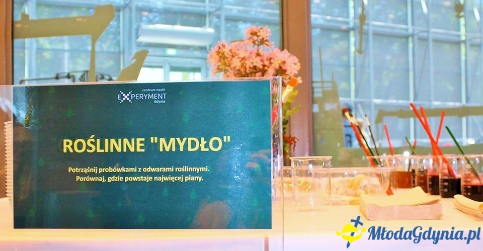 Weekend botaniczny w EXPERYMENCIE 22.07.2017