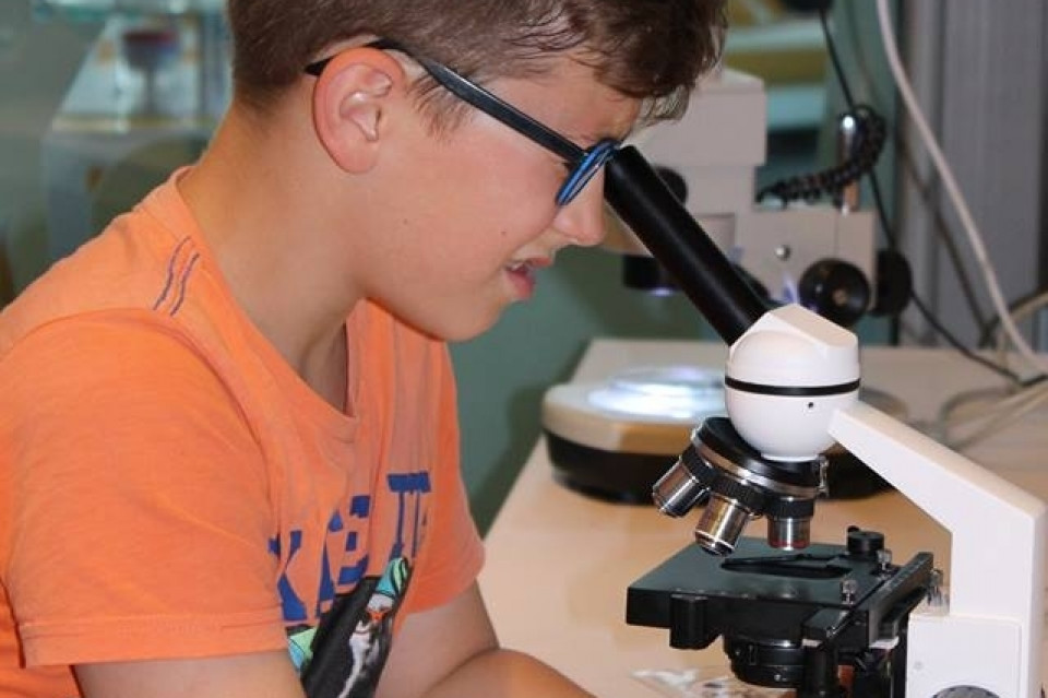 Weekend botaniczny w EXPERYMENCIE 22.07.2017