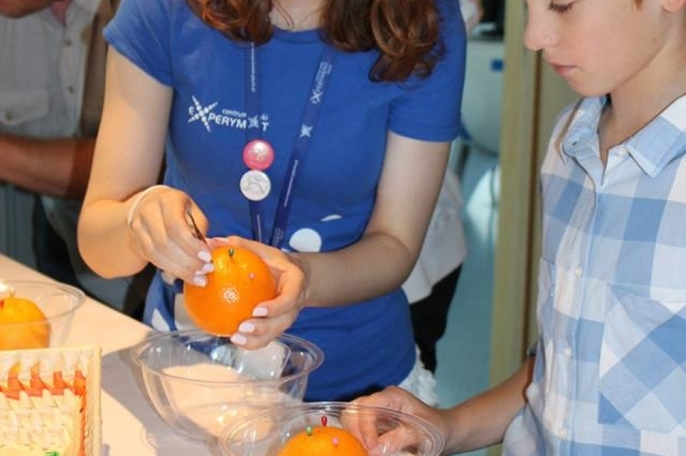 Weekend botaniczny w EXPERYMENCIE 22.07.2017