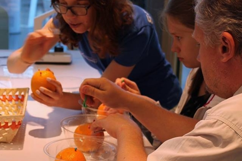 Weekend botaniczny w EXPERYMENCIE 22.07.2017