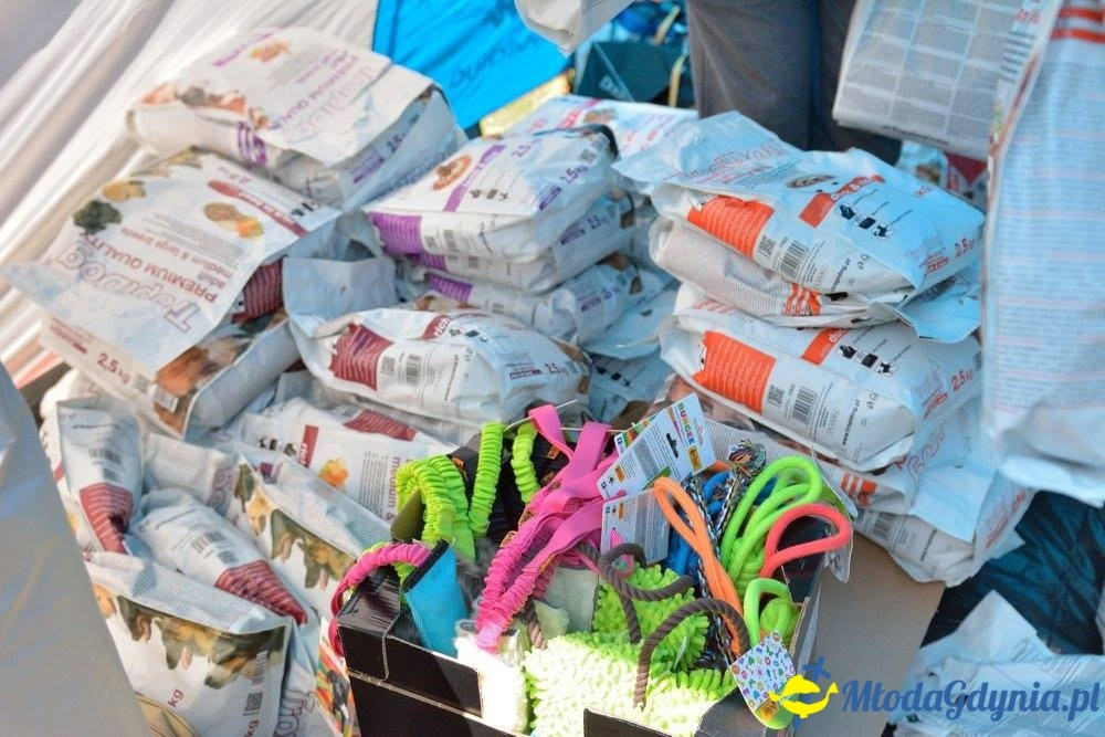 Puchar Bursztynowego Psa 15.07.17.