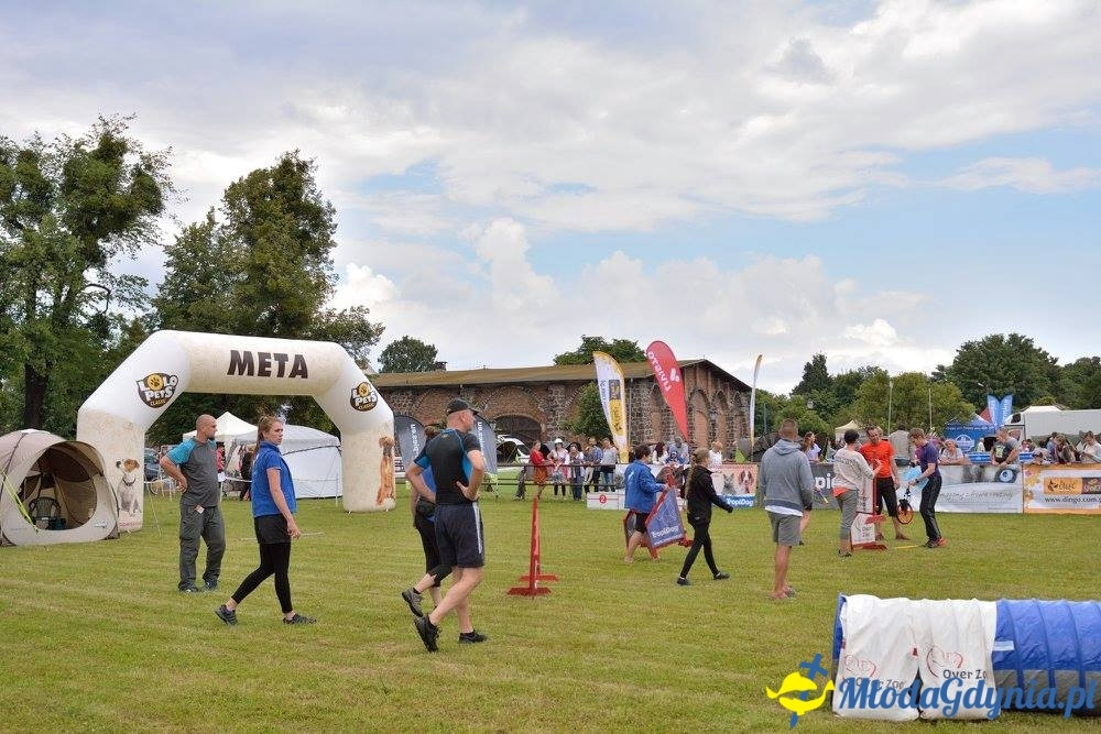 Puchar Bursztynowego Psa 15.07.17.