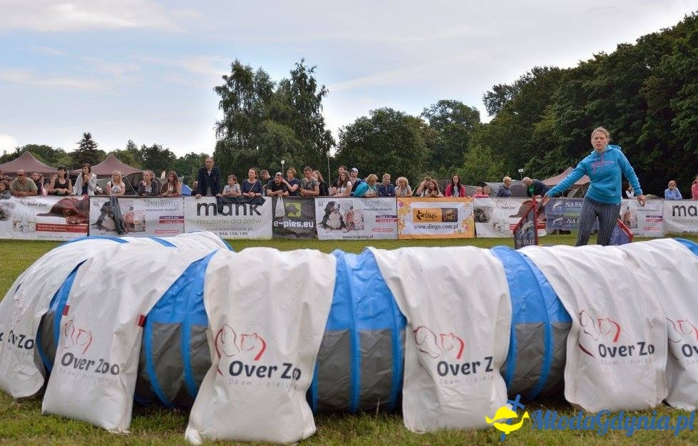 Puchar Bursztynowego Psa 15.07.17.