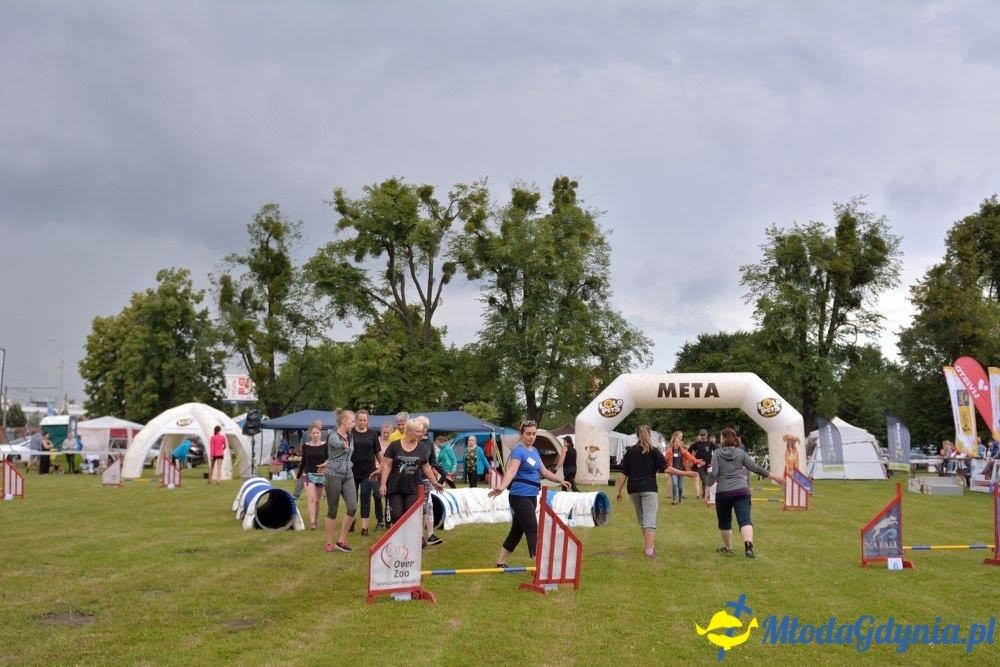 Puchar Bursztynowego Psa 15.07.17.