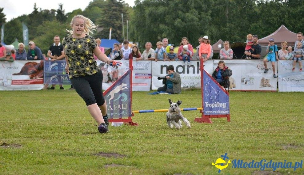 Puchar Bursztynowego Psa 15.07.17.