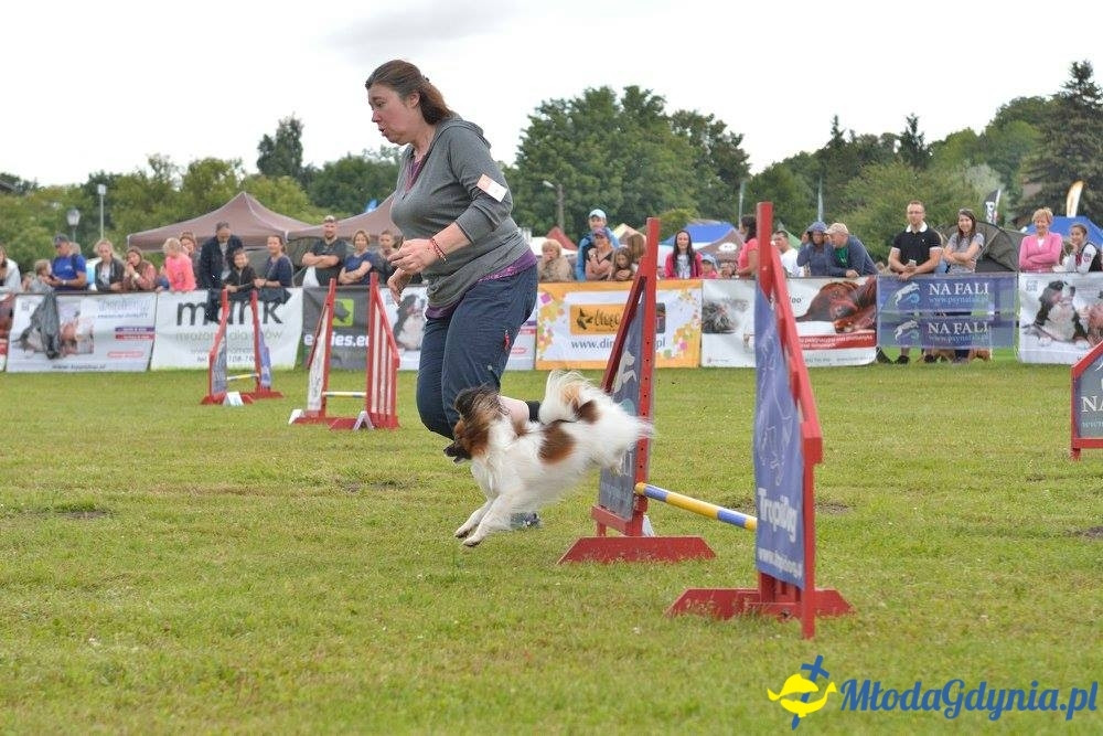 Puchar Bursztynowego Psa 15.07.17.