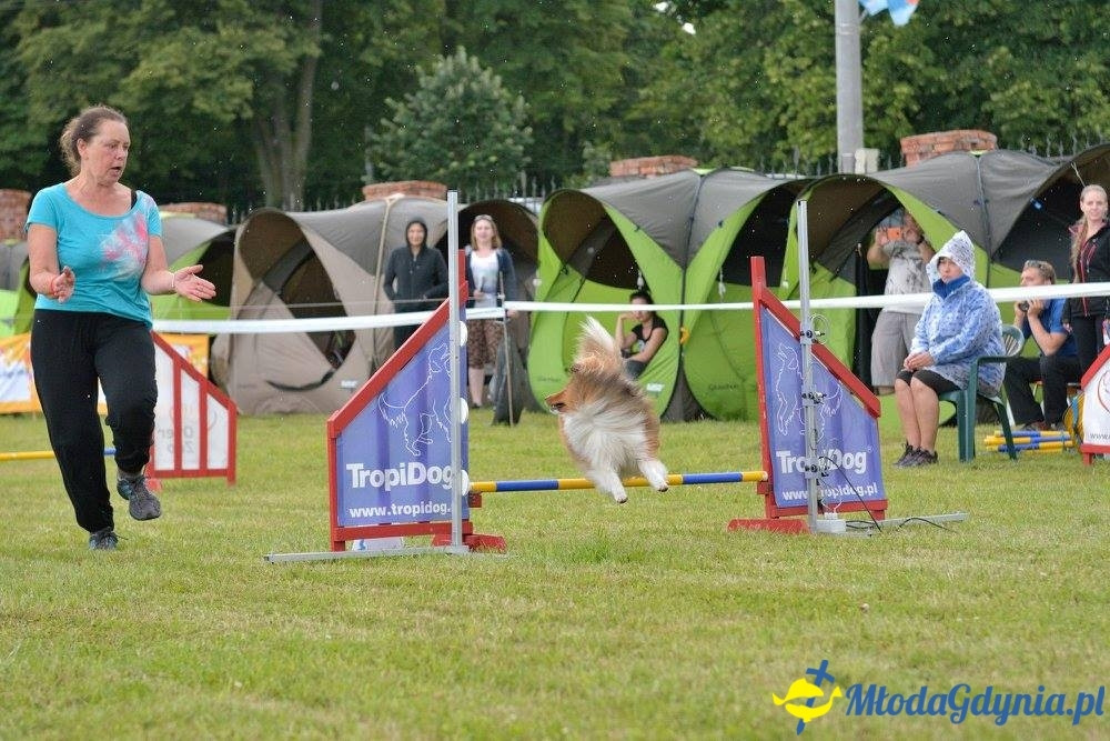 Puchar Bursztynowego Psa 15.07.17.