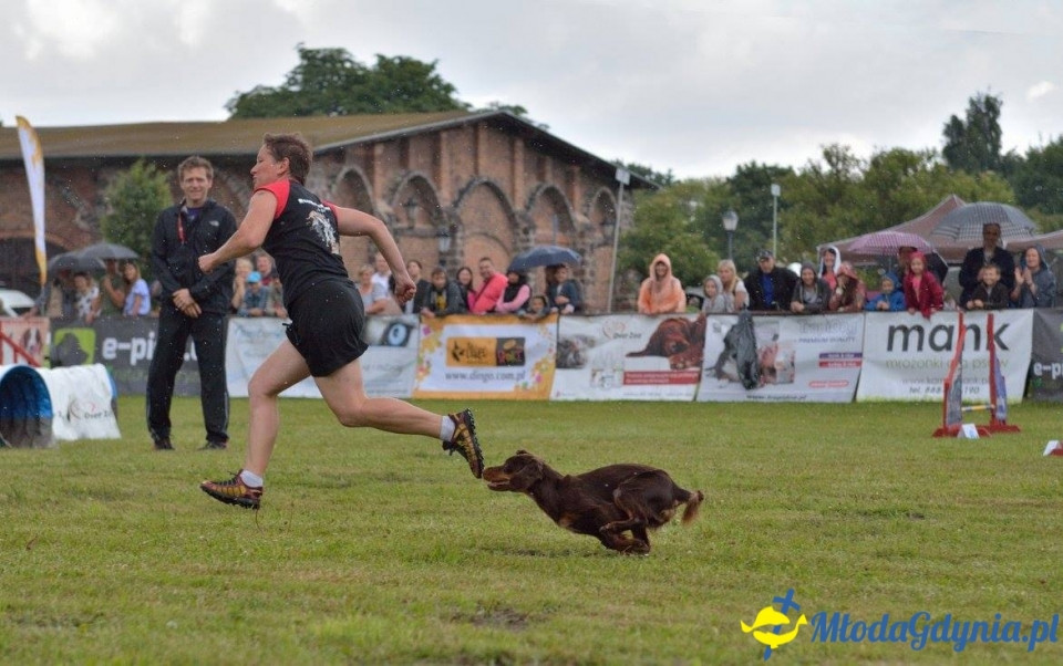 Puchar Bursztynowego Psa 15.07.17.