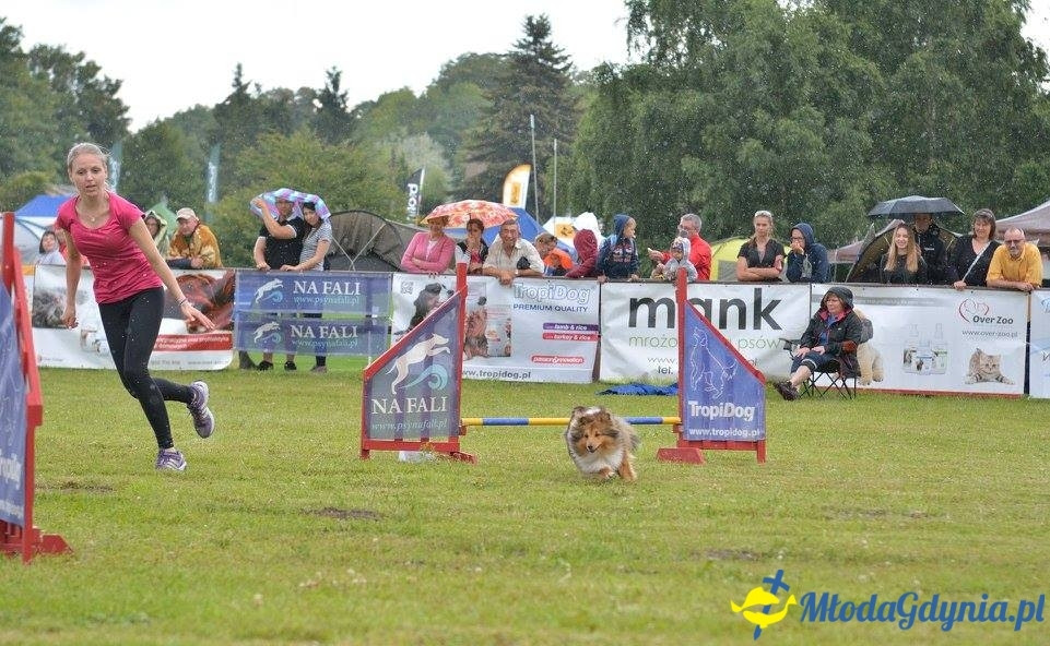 Puchar Bursztynowego Psa 15.07.17.